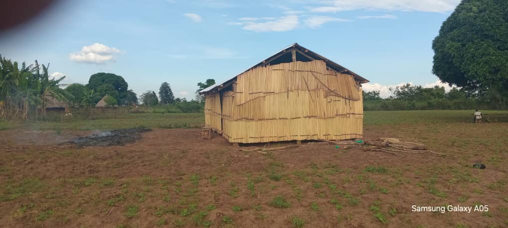 Planted Church building construction