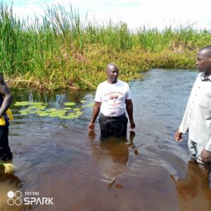 Baptism Service